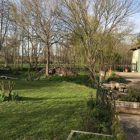 Ancien Moulin A Eau Sur La Seugne Mosnac (Charente-Maritime) Exterior foto